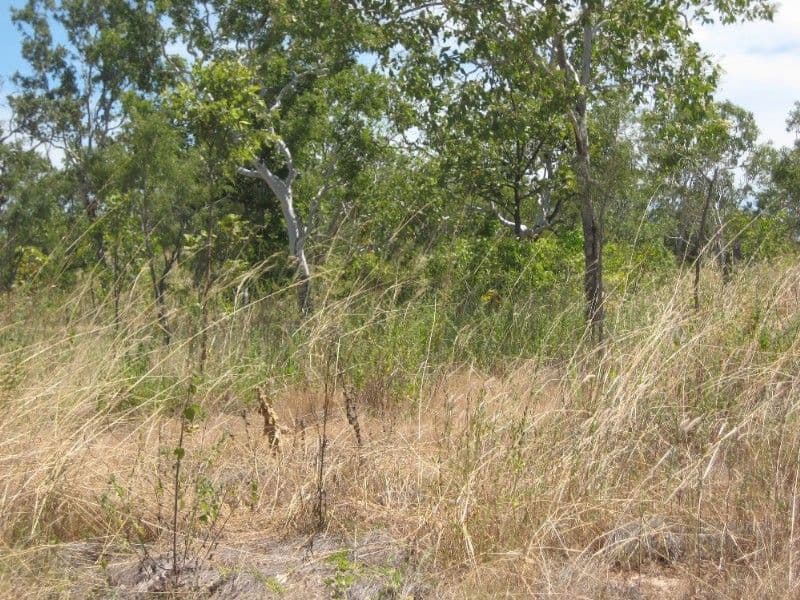 62 Cragborn Road, KATHERINE NT 0850, Katherine - Thumbnail 6
