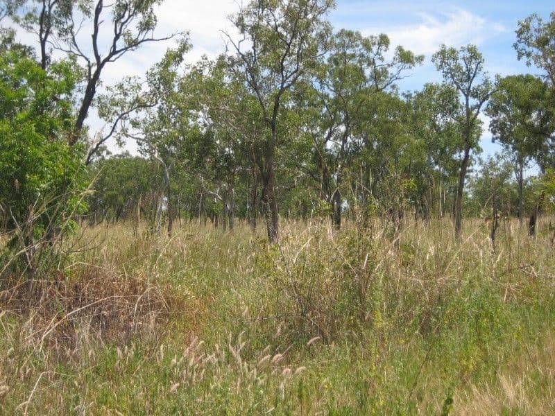 62 Cragborn Road, KATHERINE NT 0850, Katherine - Thumbnail 7