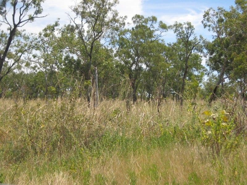 62 Cragborn Road, KATHERINE NT 0850, Katherine - Thumbnail 8