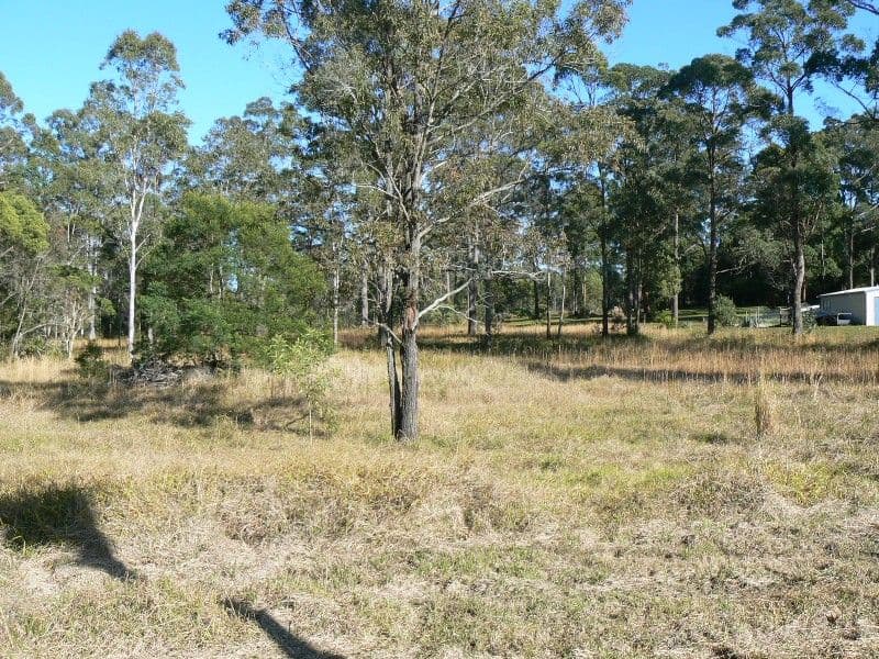 CEDAR PARTY NSW 2429, Cedar Party - Image 1