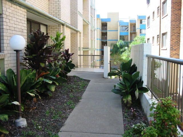  24 Tahitian Surf, Moreton Parade, KINGS BEACH QLD 4551, Kings Beach - Thumbnail 2