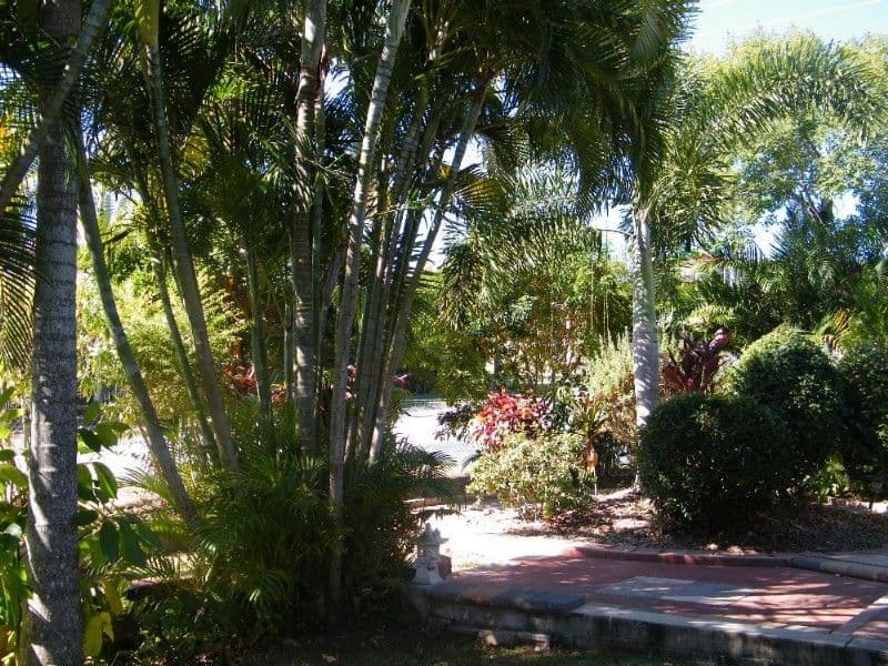 11 Houdewind Street, EIMEO QLD 4740, Eimeo - Thumbnail 3