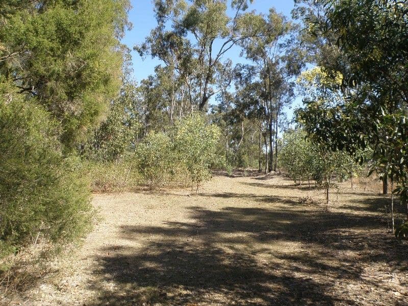 FOREST HILL QLD 4342, Forest Hill - Thumbnail 4