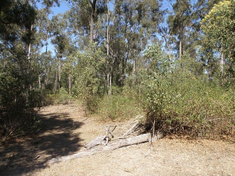FOREST HILL QLD 4342, Forest Hill - Thumbnail 5