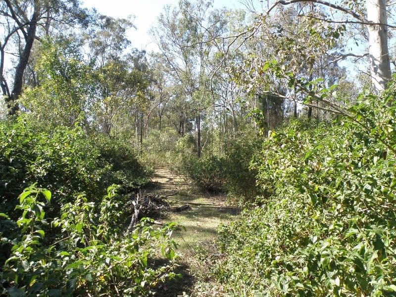 FOREST HILL QLD 4342, Forest Hill - Thumbnail 6