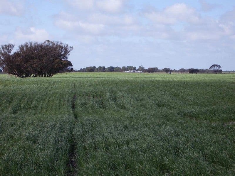 Sec. 75 Senior Road, BORDERTOWN SA 5268, Bordertown - Thumbnail 5