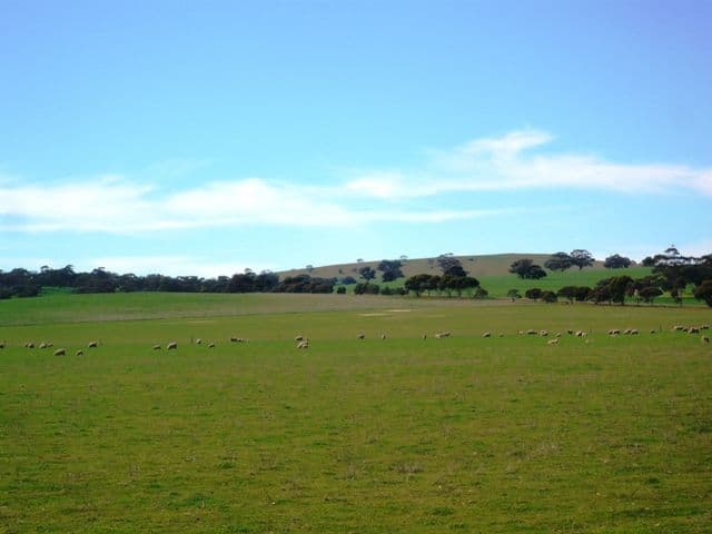 AUBURN SA 5451, Auburn - Thumbnail 3