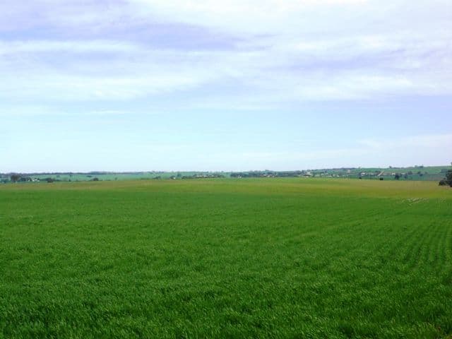AUBURN SA 5451, Auburn - Thumbnail 2