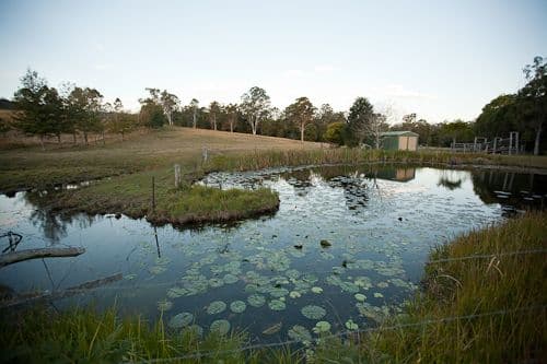 12 Waterbush Crescent, Lyndhurst, VIC, 3975, Lyndhurst - Thumbnail 5