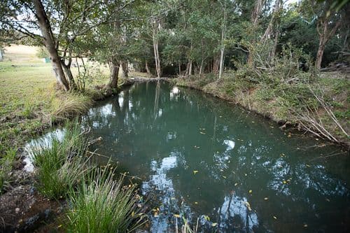 12 Waterbush Crescent, Lyndhurst, VIC, 3975, Lyndhurst - Thumbnail 7