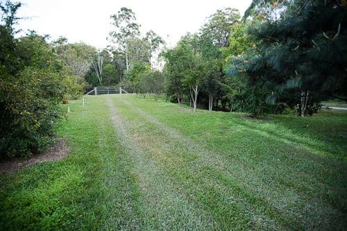 12 Waterbush Crescent, Lyndhurst, VIC, 3975, Lyndhurst - Thumbnail 8