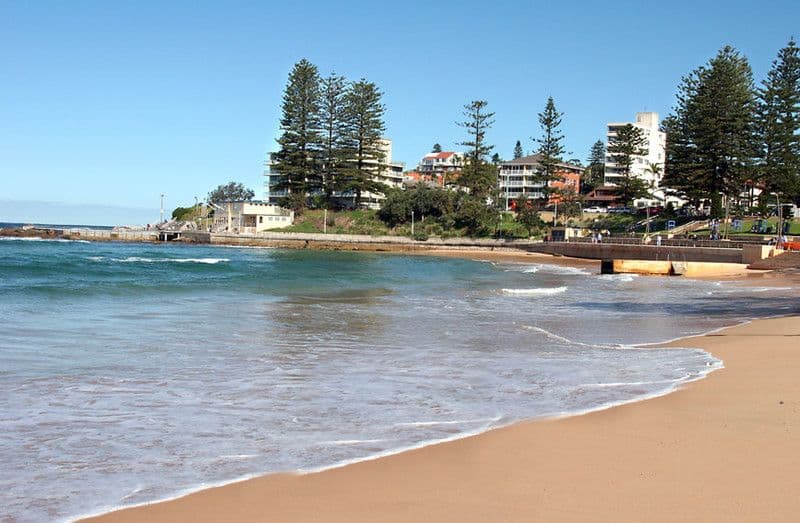70 Oaks Avenue, DEE WHY NSW 2099, Dee Why - Thumbnail 7