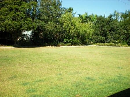 314 Stuart Valley Drive, HALY CREEK, QLD, 4610, Haly Creek - Thumbnail 2
