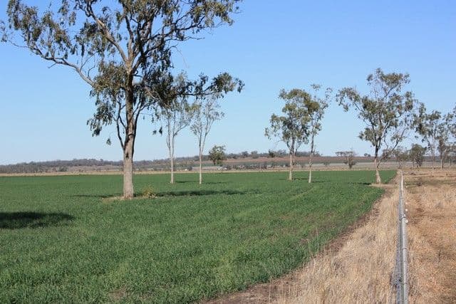 140 O'Keefe Road, JONDARYAN QLD 4403, Jondaryan - Thumbnail 5