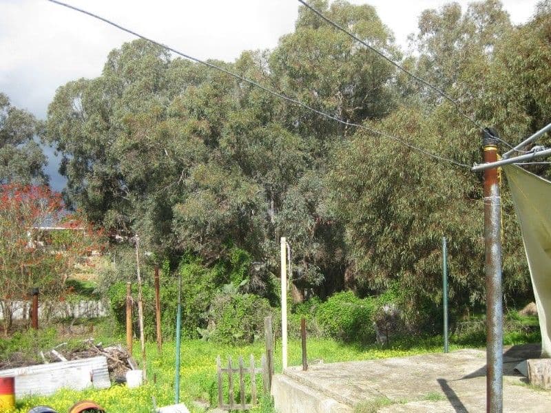 26 Frederic Street, MIDLAND WA 6056, Midland - Thumbnail 2