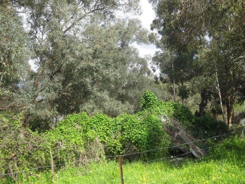 26 Frederic Street, MIDLAND WA 6056, Midland - Thumbnail 6