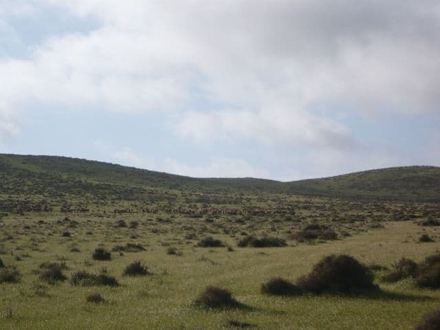 "Hugh's" Stock Route Road, HALLETT SA 5419, Hallett - Thumbnail 4
