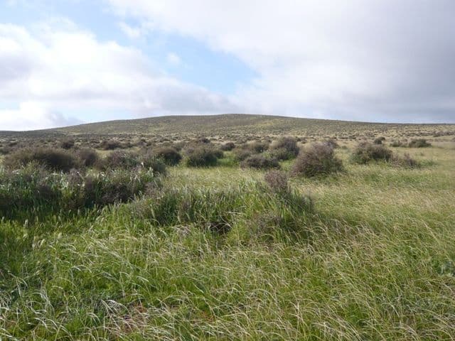 "Hugh's" Stock Route Road, HALLETT SA 5419, Hallett - Image 1