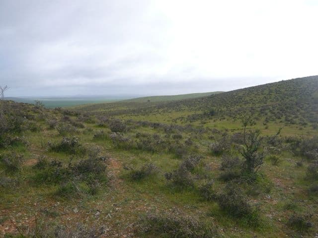 "Hugh's" Stock Route Road, HALLETT SA 5419, Hallett - Thumbnail 5