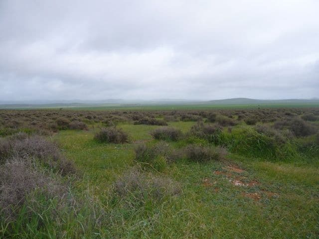 "Hugh's" Stock Route Road, HALLETT SA 5419, Hallett - Thumbnail 6