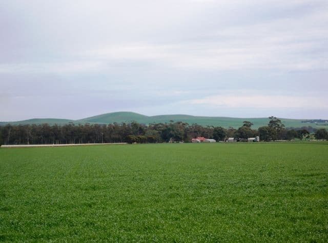 LEIGHTON SA 5417, Leighton - Image 1