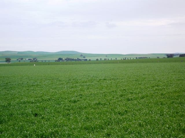 LEIGHTON SA 5417, Leighton - Thumbnail 2