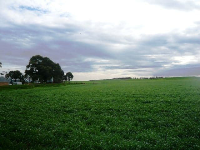LEIGHTON SA 5417, Leighton - Thumbnail 4