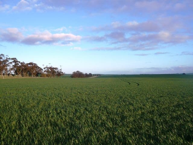 LEIGHTON SA 5417, Leighton - Thumbnail 5