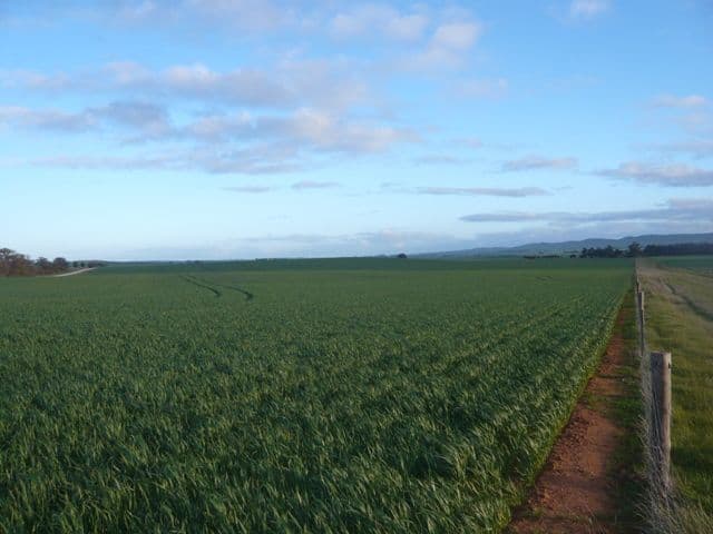 LEIGHTON SA 5417, Leighton - Thumbnail 6