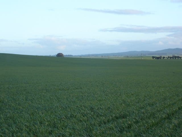 LEIGHTON SA 5417, Leighton - Thumbnail 7