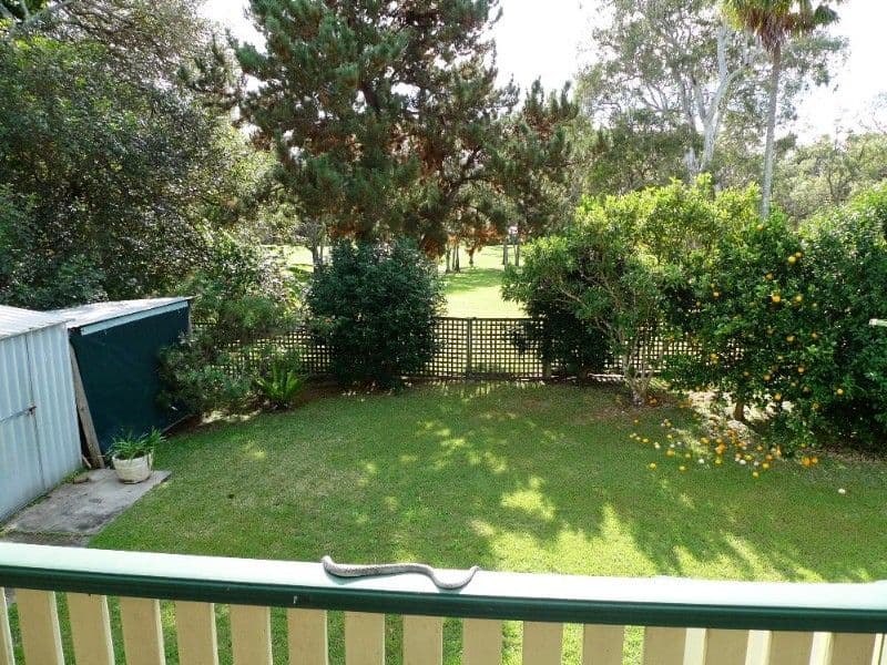 16 Ninth Avenue, TOUKLEY NSW 2263, Toukley - Thumbnail 6