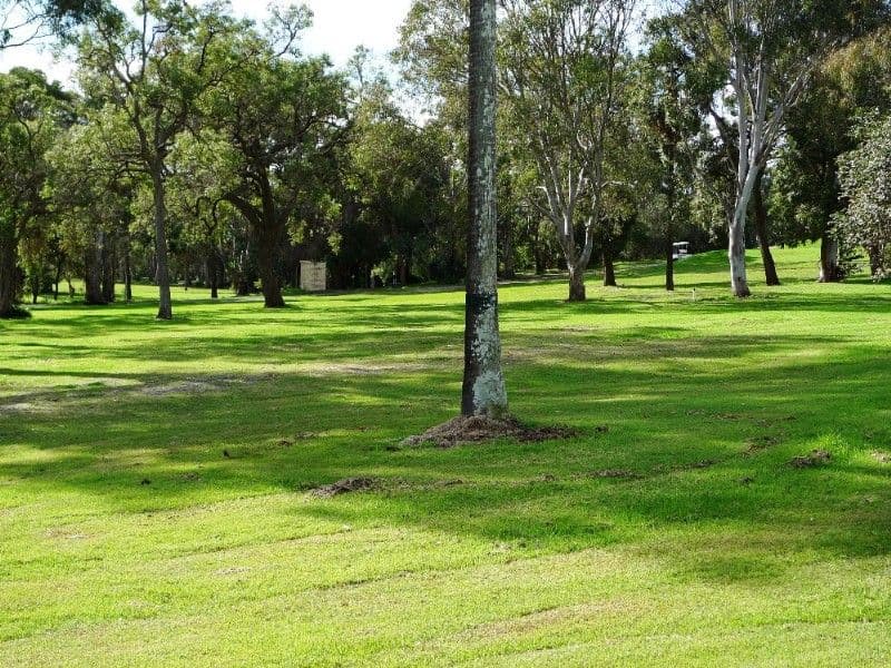 16 Ninth Avenue, TOUKLEY NSW 2263, Toukley - Thumbnail 8
