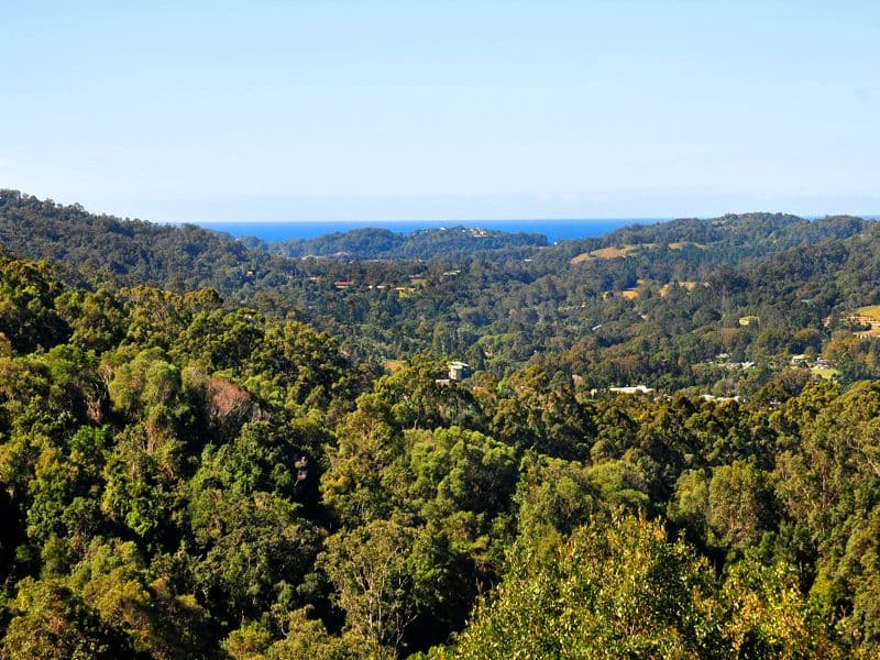 592 Trees Road, TALLEBUDGERA QLD 4228, Tallebudgera - Image 1