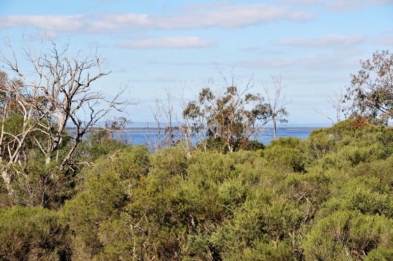 8 Water View, BOUVARD WA 6211, Bouvard - Thumbnail 7