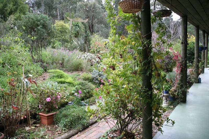 23 Denison Street, Meadowbrook, QLD, 4131, Meadowbrook - Thumbnail 6