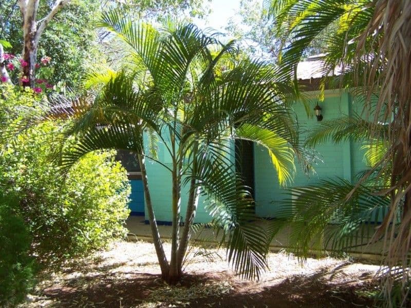 5 Frangipanni Court, KATHERINE NT 0850, Katherine - Image 1