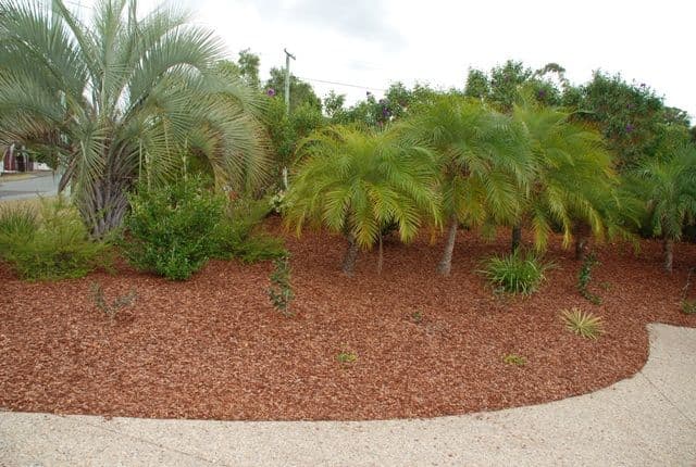 93 Redwood Road, DOONAN QLD 4562, Doonan - Thumbnail 8