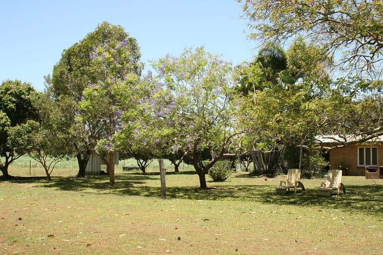 609 Cone Creek Road, KOUMALA QLD 4738, Koumala - Thumbnail 8