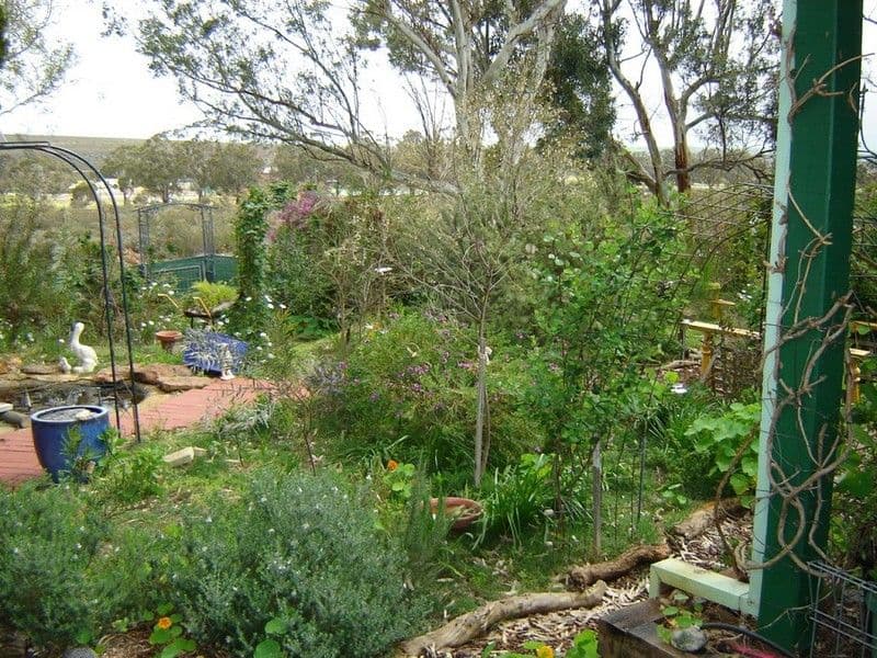 24 Dodd Street, BADGINGARRA WA 6521, Badgingarra - Thumbnail 2