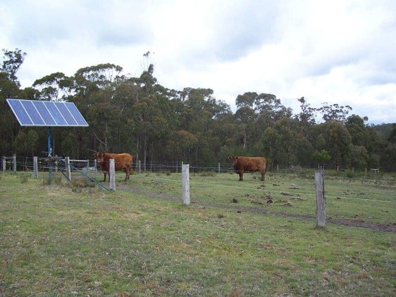 725 Francis Road, GLENGARRY VIC 3854, Glengarry - Thumbnail 2