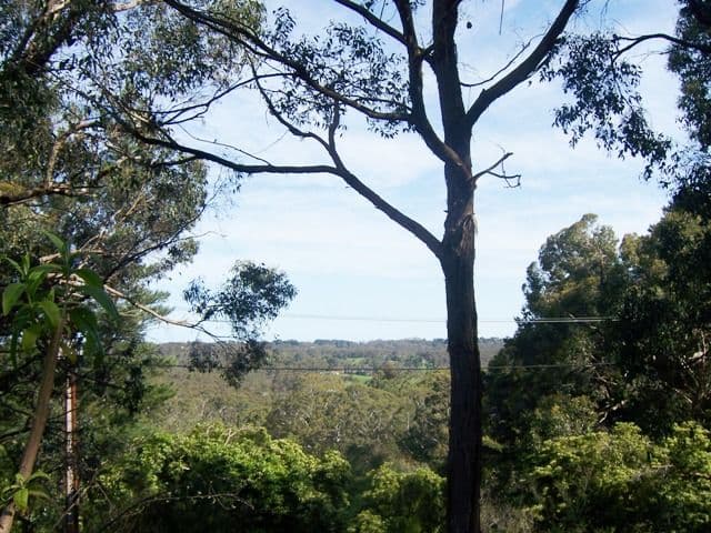 274 Sturt Valley Road, Upper Sturt SA 5156, Upper Sturt - Thumbnail 4