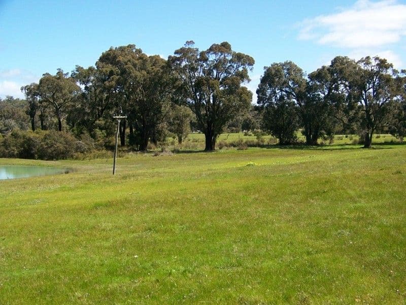 3 Orlando Street, Oran Park, NSW, 2570, Oran Park - Thumbnail 5