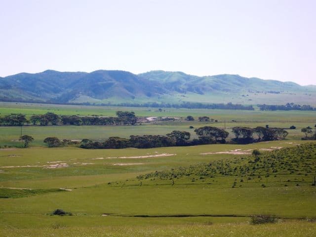 ROBERTSTOWN SA 5381, Robertstown - Image 1