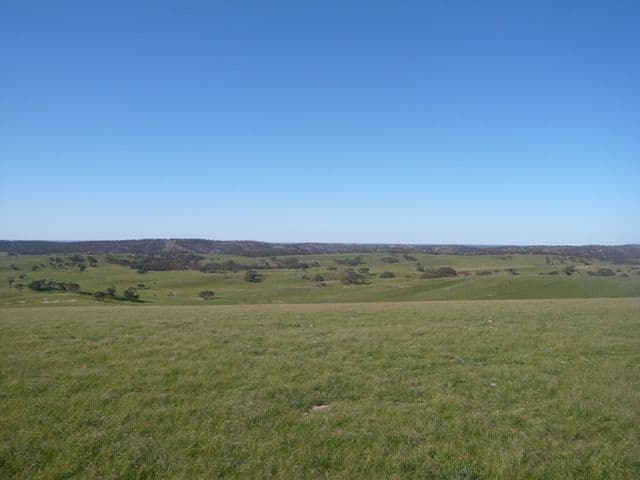 ROBERTSTOWN SA 5381, Robertstown - Thumbnail 5