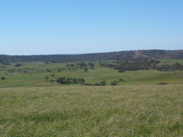 ROBERTSTOWN SA 5381, Robertstown - Thumbnail 6