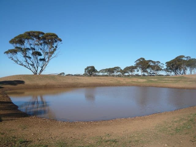ROBERTSTOWN SA 5381, Robertstown - Thumbnail 2