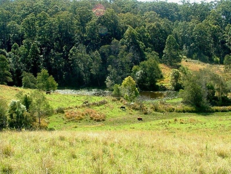 194 Talarm Road, TALARM NSW 2447, Talarm - Thumbnail 8