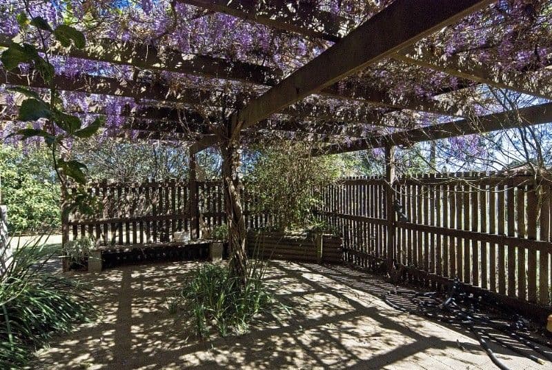 3 Mcleod Street, RANGEVILLE QLD 4350, Rangeville - Thumbnail 2