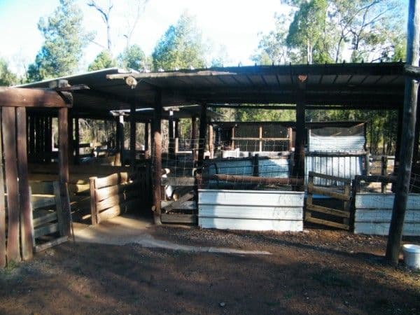 48 North Kogan Road, KOGAN QLD 4406, Kogan - Thumbnail 4
