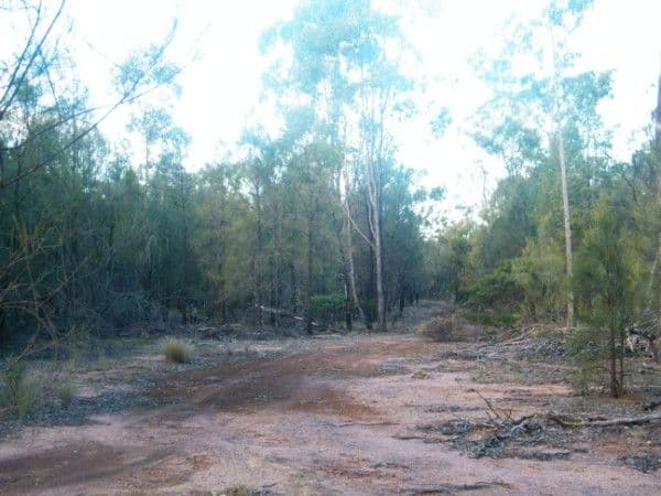 48 North Kogan Road, KOGAN QLD 4406, Kogan - Thumbnail 5